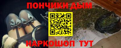 прущие грибы Обь