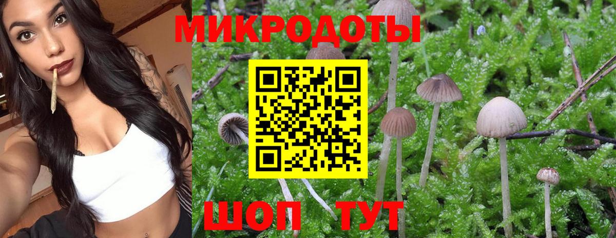 Псилоцибиновые грибы MAGIC MUSHROOMS Нефтеюганск