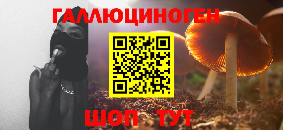 Нефтеюганск  Псилоцибиновые грибы мицелий  Вход с VPN 