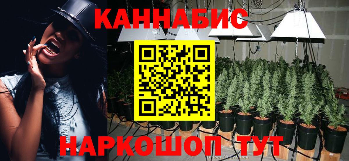 Марихуана сатива Нефтеюганск